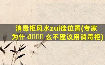 消毒柜风水zui
佳位置(专家为什 🐒 么不建议用消毒柜)